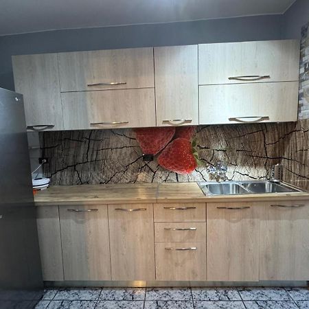 Your House In טיראנה מראה חיצוני תמונה